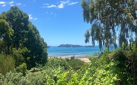 Whitebait Point
